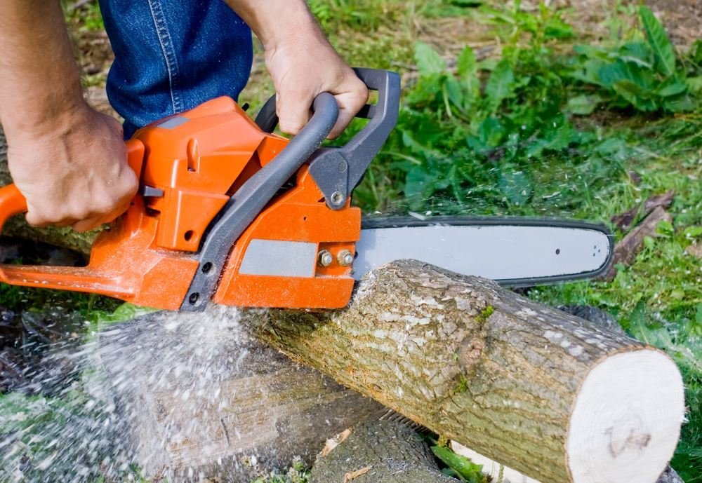 What You Need To Know About an Electric Chainsaw - Mizpee
